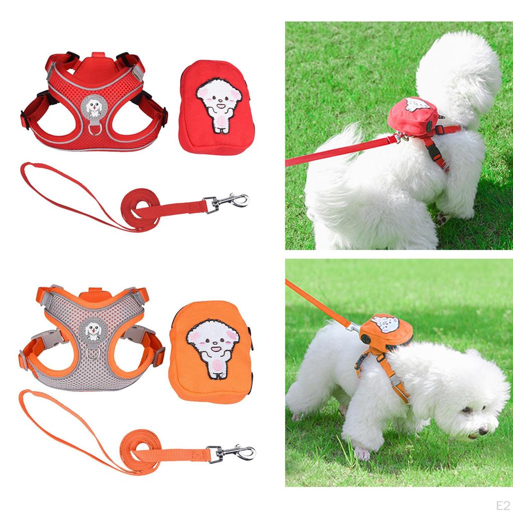 Pet Harness and Leash Combo for Enjoyable Outdoor Adventures