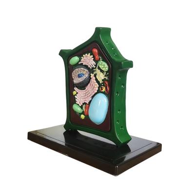 Pflanzenanatomie Modell Pflanzenzelle Modell Pflanzenmodell Spielzeug Lehrmittel Laborbedarf für Klassenzimmer Display Studium Lehre