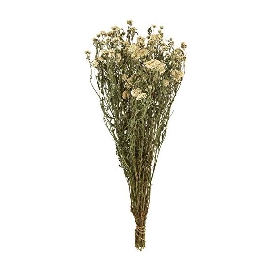 Токиодо Сухоцвет Тысячелистник (50г) #Белый FD003033