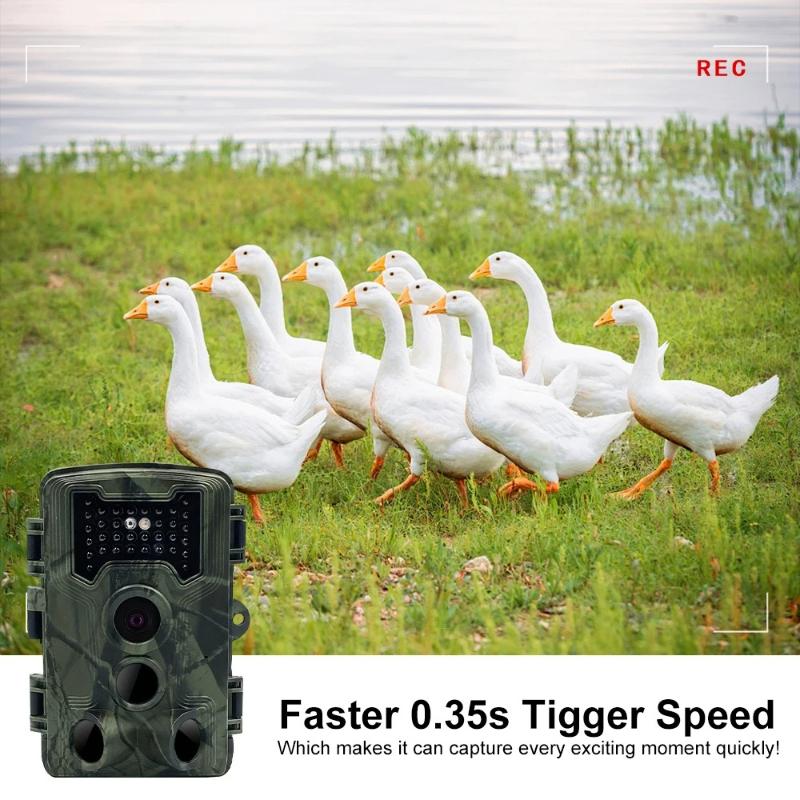36MP 1080P Mini Hunting Trail Camera Motion Activated Night Vision Wild Surveillance Wildlife Photo Trap Cam