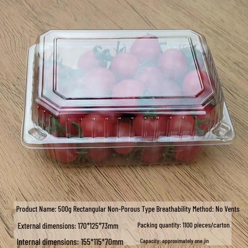 Portable Disposable Transparent Plastic Rectangular Fruit Packaging Box with Lid