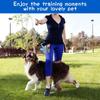 Pet Treat Training Bag for Treats, Kibbles for Small to Large Dogs Pet Snacks Toy Waist Bag Dog Supplies