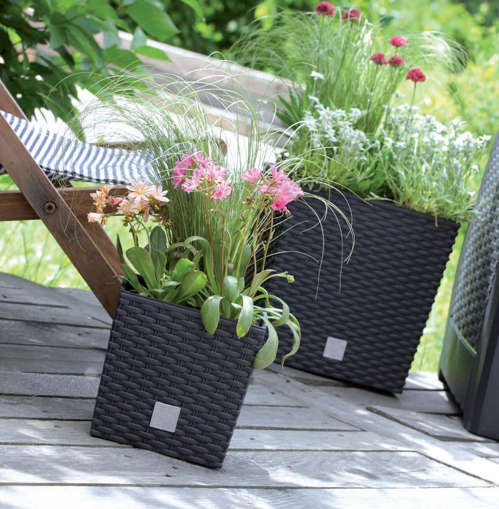 RATO DRTS225L Low Flowerpot with Insert | White