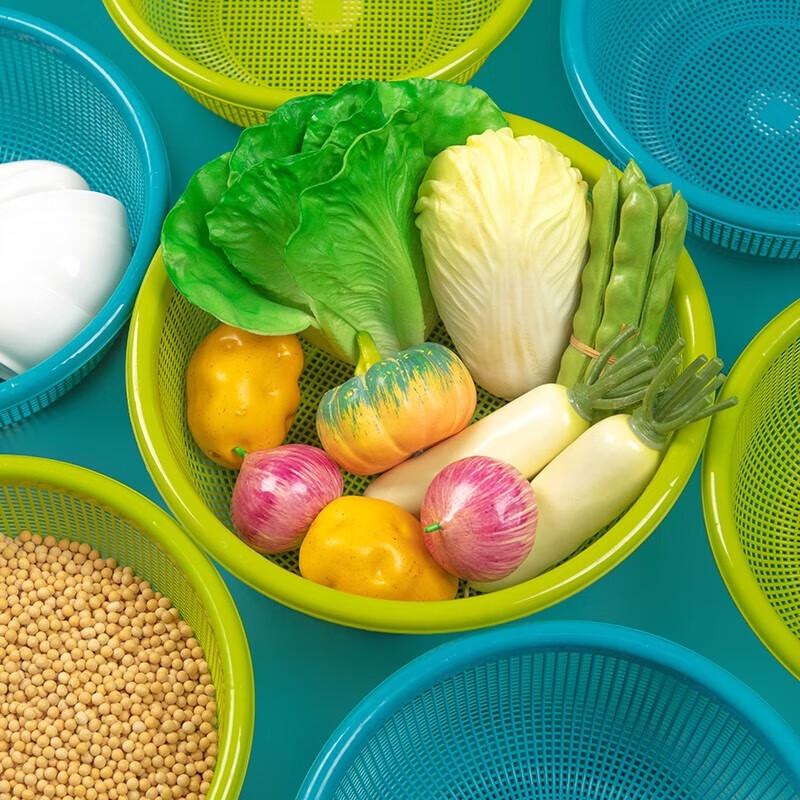 Kamelie Verdickter Abtropfkorb