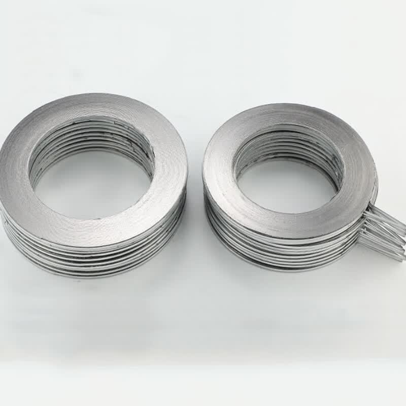 Stainless Steel Metal Graphite Spiral Wound Gasket PN10