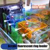 Feeding Dish Aquarium Fish Tank Reptiles Feeder Bowl with Suction Cup Acrylic  Fluorescent  Fish Feeding Aquarium Supplies