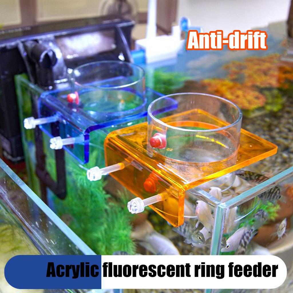 Feeding Dish Aquarium Fish Tank Reptiles Feeder Bowl with Suction Cup Acrylic  Fluorescent  Fish Feeding Aquarium Supplies