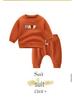 2025 Baby Boy's Woolen Knitted Hat for Autumn & Winter