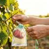 Fruit Protection Bags Drawstring Closure Mesh Fruit Bag Reusable Fine Mesh Covers for Tomatoes Strawberries Vegetables Protection from Insects Birds
