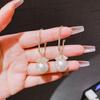 Orecchini alla moda con frange, lussuosi e sofisticati, dal fascino elegante. Lunghi Orecchini di Perle per uno Stile Versatile e Raffinato.