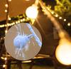 Frosted Bubble Ball, Star, and Cherry Blossom String Lights for Outdoor Camping Tent Decor