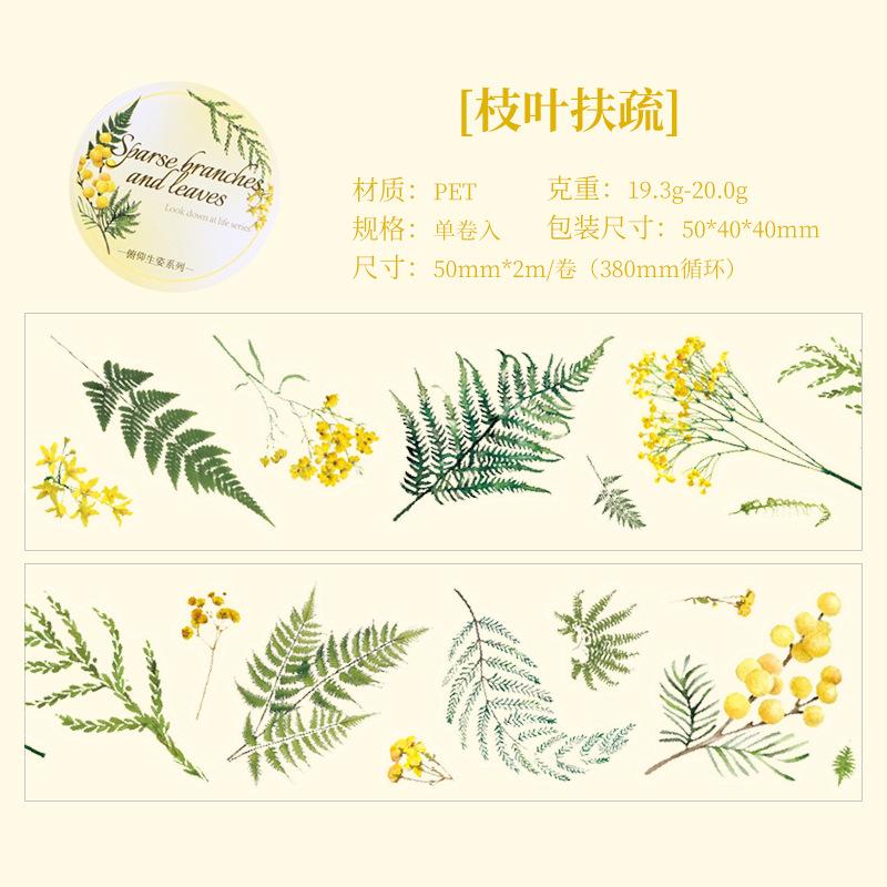 50mm*2m PET Flowers Plant Decorative tape Stick Labels Adhesive Diy Diary Album Scrapbooking material Craft Supplies tape set