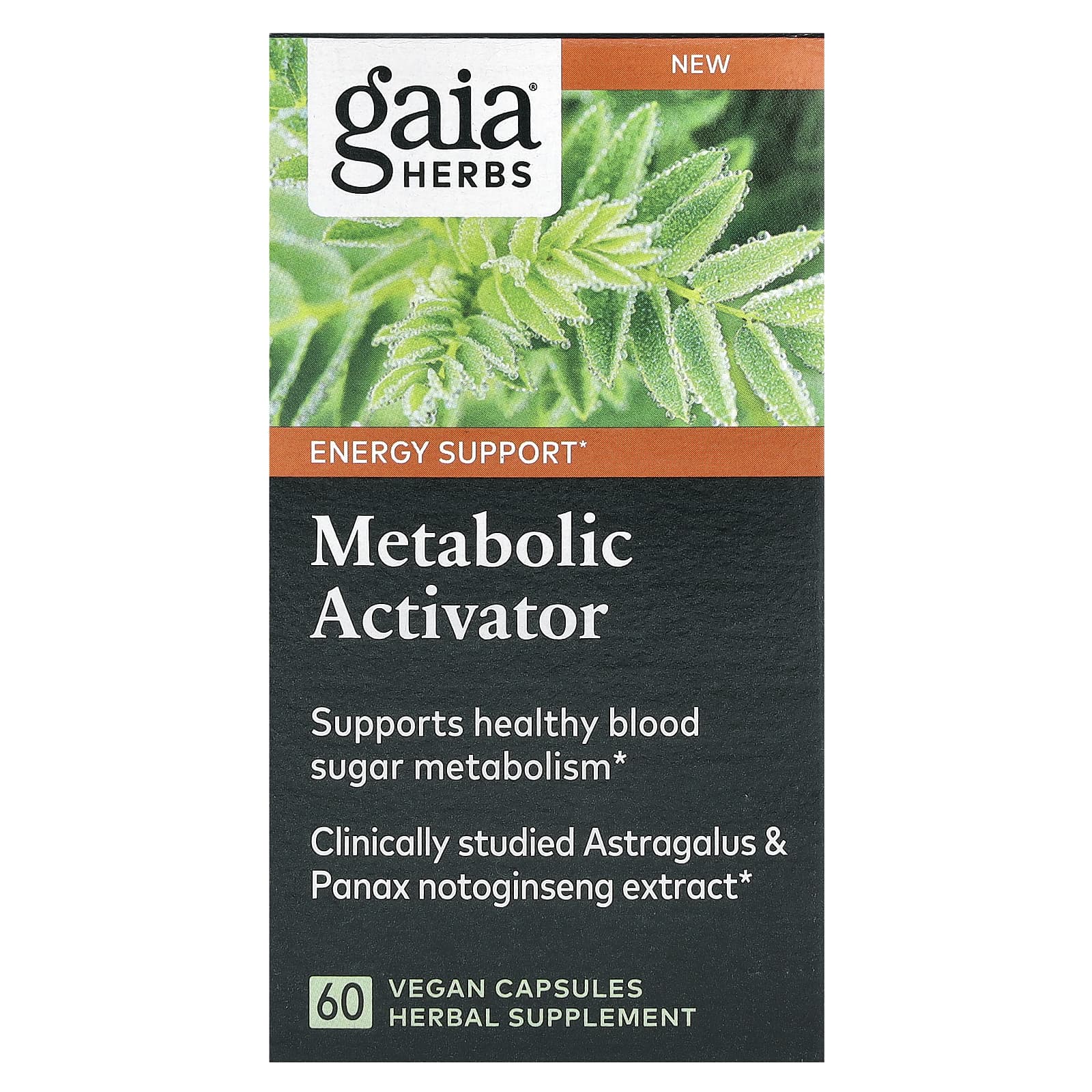 

Metabolic Activator, 60 Veggie Capsules