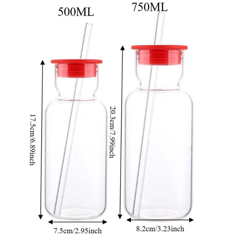 Heat Resistant Glass Water Bottle with Straw Silicone Lid Drink Cup Food Grade Juice Bottle Bar