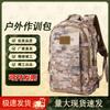 Yishan 19 Tactical & Mountaineering Backpack