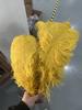 Gold Natural Ostrich Feathers 15-60cm Fluffy Feather Plumes Wholesale 10PCS for Wedding Centerpieces Home Decor Party DIY Crafts