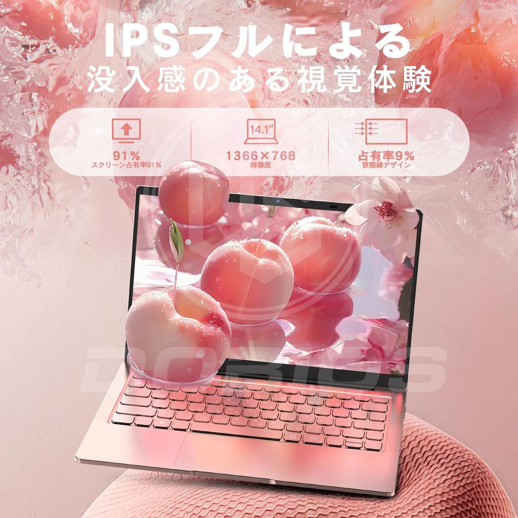 Dobios Laptop with Office 2019 and Windows 11 Ideal for Features a Celeron N4000 a IPS Angle USB Bluetooth and a Japanese Ideal for Working from and