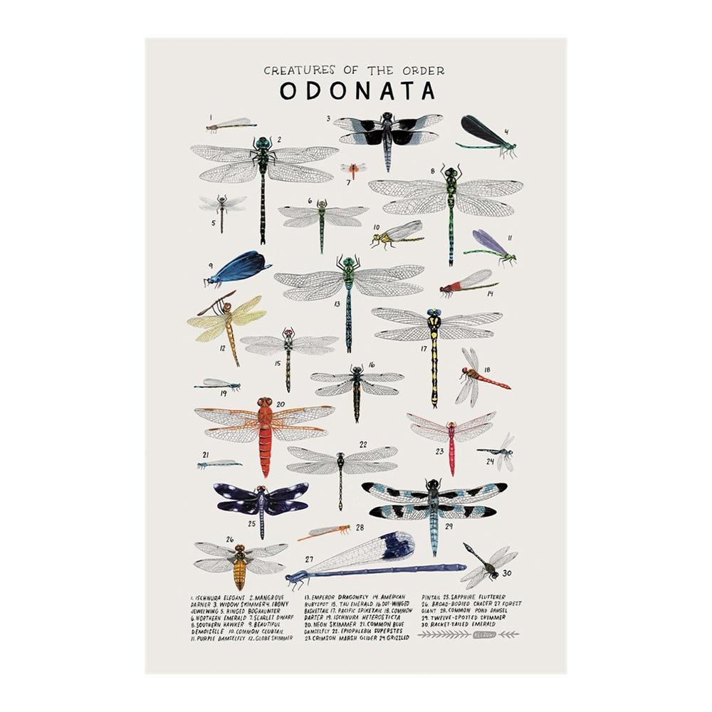 Abstract Marine Organisms Jellyfish Whale Squid Fishes Posters Canvas Painting and Prints Wall Art Picture for Room Home Decor