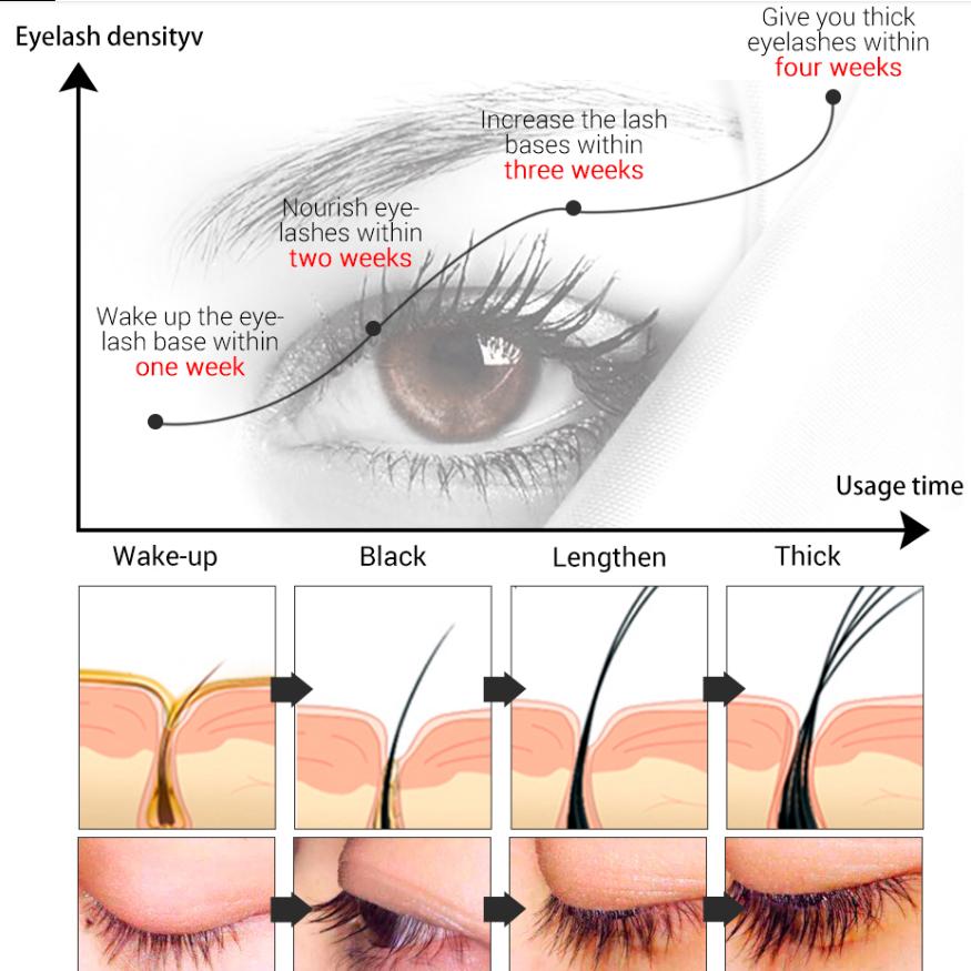 Natural Eyelash Growth Essence Longer And Fuller Eyelash Enhancer Serum Thicker Lashes Eyelashes Growth Serum Eyelash Care 4ml