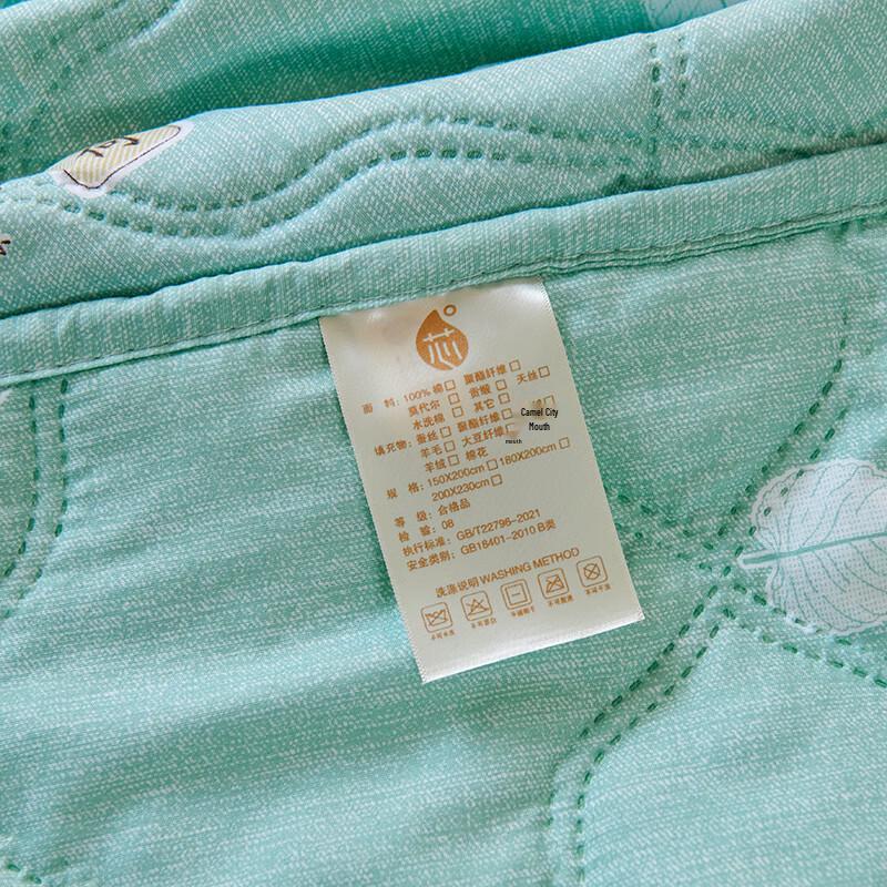 Zmn Mint Cooling Summer Quilt