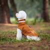 Soft Dog Raincoat Reflective Strape Dog Stormcoat Waterproof Dogs Clothes  For Small Medium Dogs