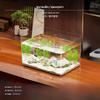 Transparent PET Desktop Aquarium, GlassLike Small Fish Turtle Tank 29x16x16cm Basic