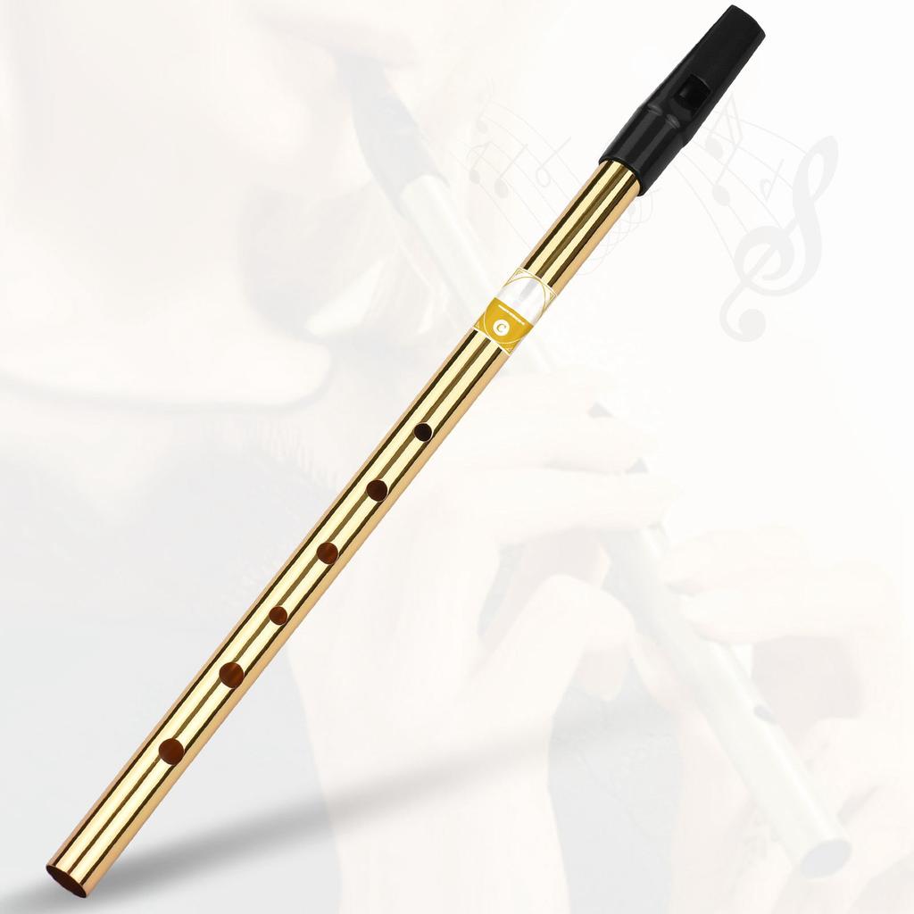 Irish Whistle Flute Key of D 6 Holes Flute Wind Musical Instruments for Beginners Intermediates Experts