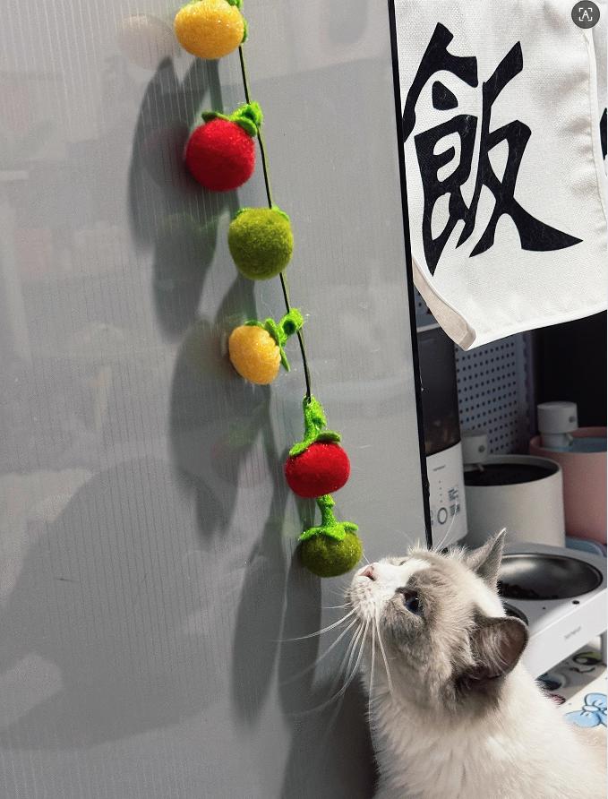 Tomato Cat Tease Bell Toy; Self-entertainment Toy with Bell Inside; Hang On the Door; Cat Toy with Fur Ball