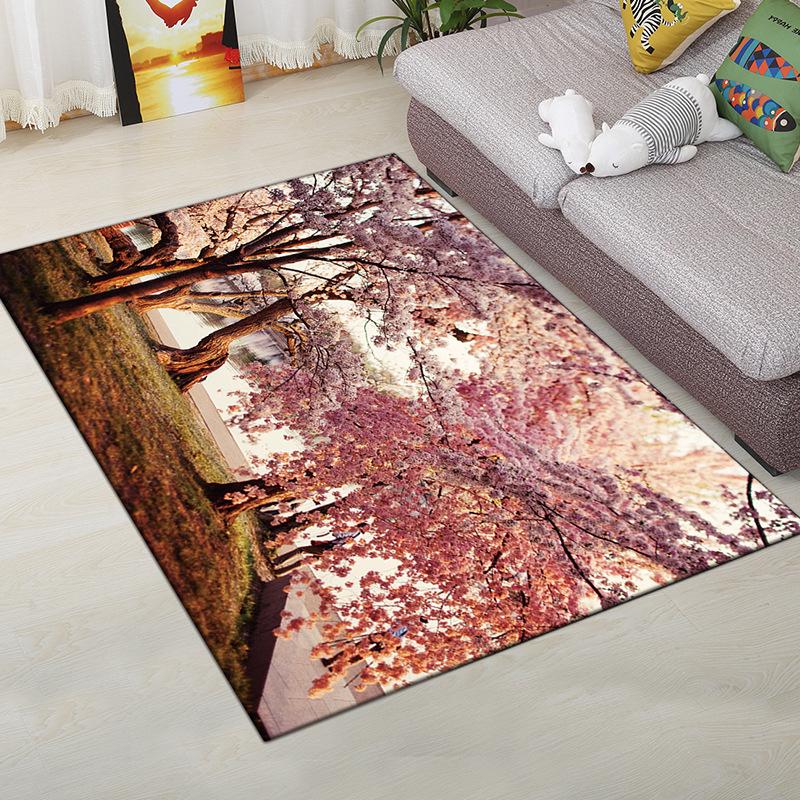 Living Room Carpet Bedroom Bedside Carpet Simple Floor Mat Foot Mat and Machine Washable Entrance Mat