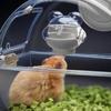Prevent Dripping Hamster Magnetic Kettle Magnetic Rack Automatic Hamster Water Bottle Wall Mounted 220ml Pet Water Dispenser