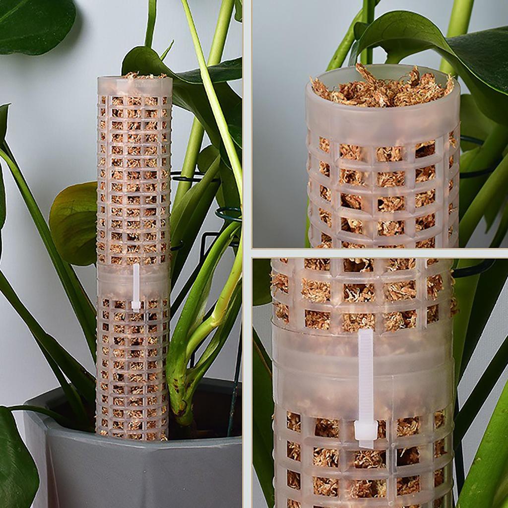 Plant Climbing Column Sphagnum Moss Pole Plants Growing Support Stand Water-Retaining Fertilizer-Rich Plant Extension Pole Stick