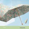 Accesorii – Umbrele
