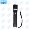 Cangyi LED Rechargeable Outdoor Flashlight Set