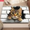 2D visual effects Cat Carpet Mat Home Decoration Living Room Floor Rug Cute Cat Pattern Pet Themed Indoor Area Rug welcome mat