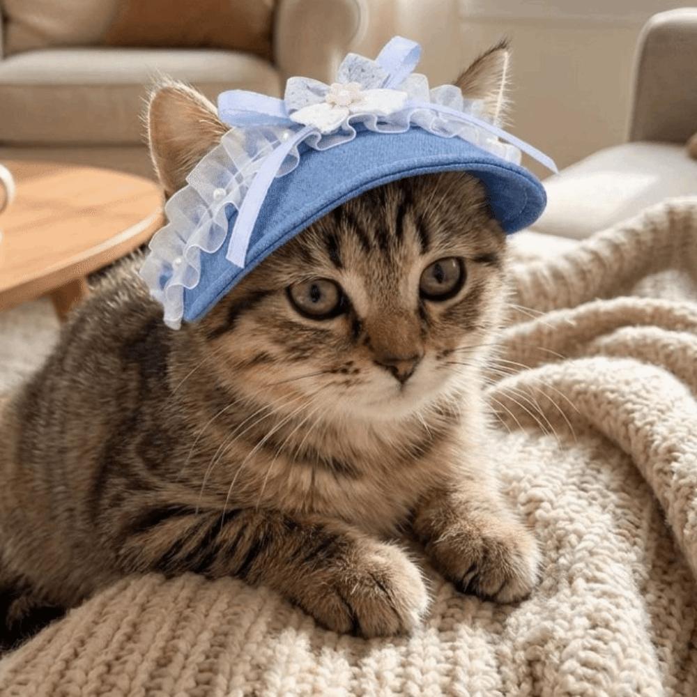 With Ear Holes Pet Sun Hat Sweet Dog Baseball Cap Pet Supplies Puppy Denim Cap  Hiking Sports