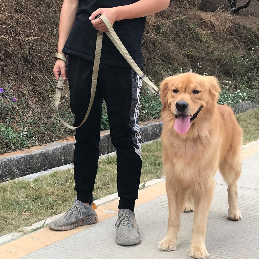 Hyhug Nylon Adjustable Meter Dog Durable and Sturdy Leash with Soft Padded Handle and Easy To Use Bolt Suitable for Medium and Small Dogs Military 1.8