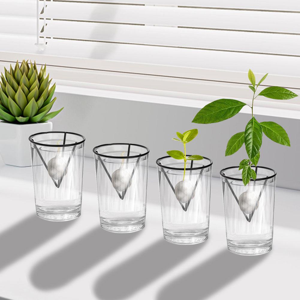 4 Pcs Avocado Seed Starter Rack Triangular Metal Bracket Avocado Growing Triangular Holder for Mason Jar of Wide-Mouth