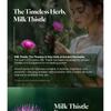 RAWQUEST - Milk Thistle Brightening SPA Black Mask Set