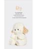 Catch Fun Bernese Puppy Plush Toy - Adorable Stuffed Animal Sleeping Pillow, Small Doll Birthday Gift for Girls
