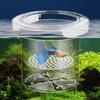 Transparent Aquarium Breeder Feeder Suspension Fish Breeding Box  Juvenile Fish