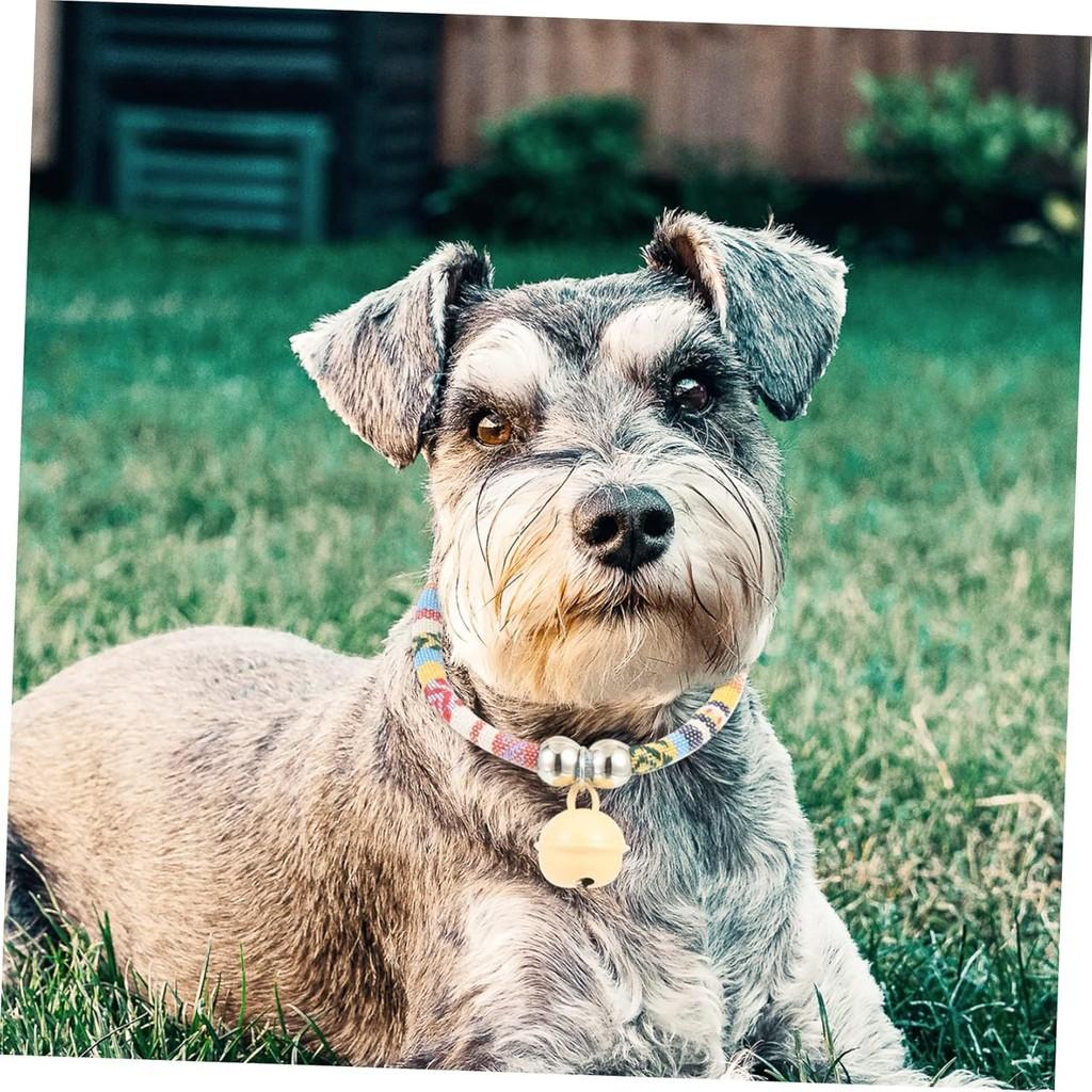 Pet Collar Colored Collar Cat Dog Bell Necklace Adjustable Dog Collar Soft and Comfortable