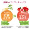 Jeonggwanjang Roter Ginseng Everytime Granatapfel 10ml x 20 Beutel Koreanischer Ginseng konzentrierter Extrakt 1 Beutel 1000mg Koreanischer roter Ginseng Granatapfel