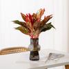 Creative Plastic Flower Bottle Transparnt Home Decor Aromatherapy Bottle Hydroponic Plant Vase