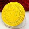F-22 Raptor Combat Aircraft, Gold Plated Color Printing Commemorative Medal, Craftsmanship, Air Force Creative Gift, Gold Coins and Coins