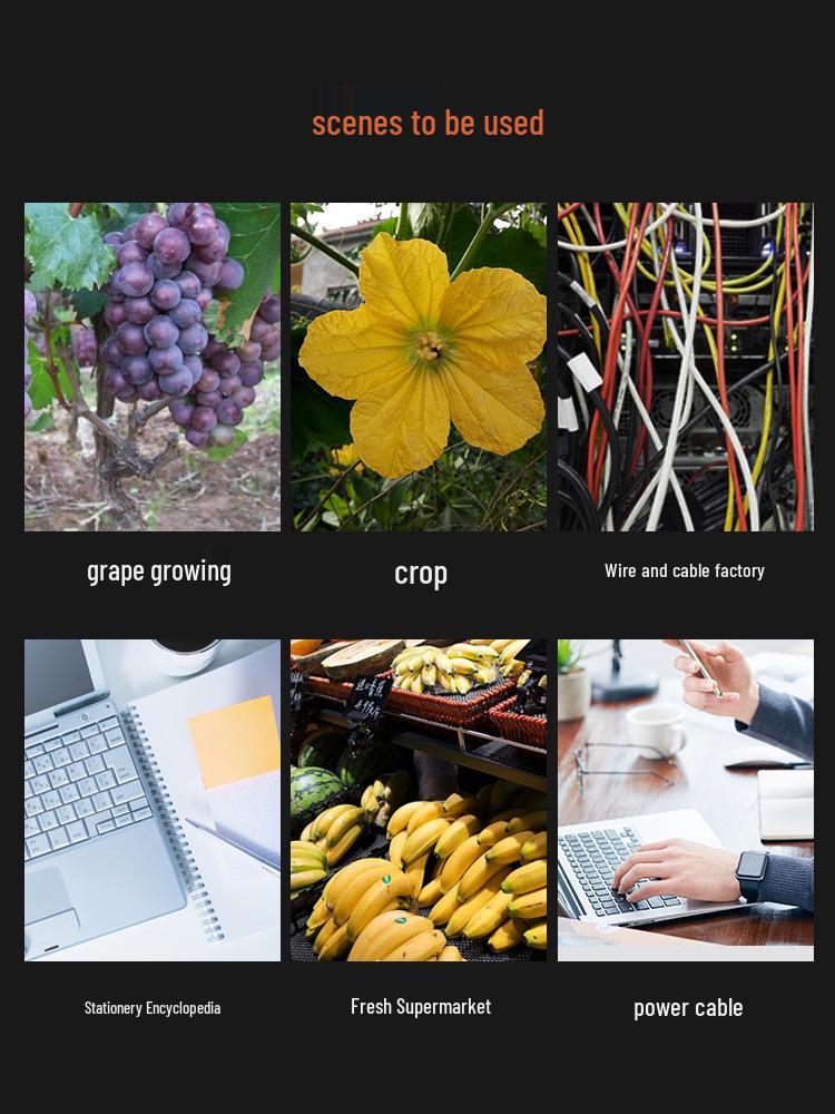 Plastic-Coated Electrogalvanized Iron Wire Cable Tie for Grape Vine Trellises