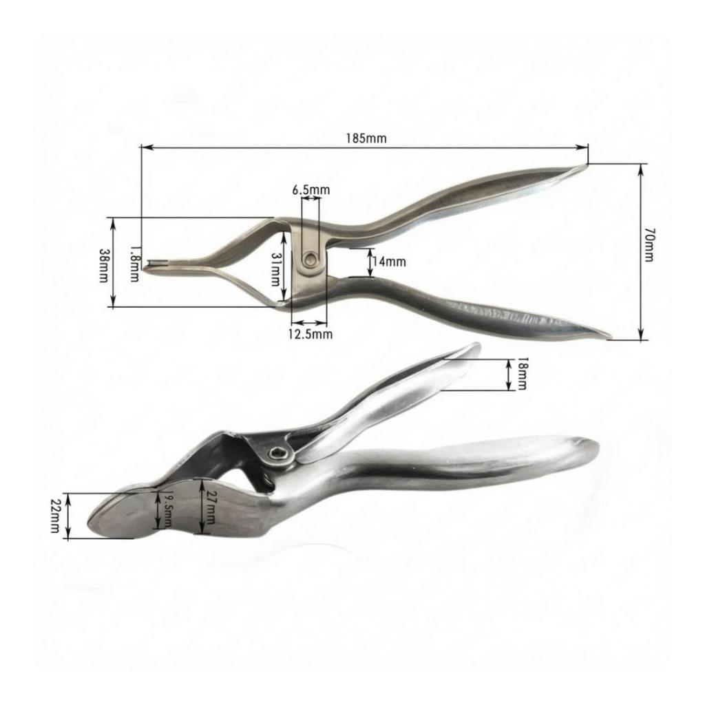 PlierStyle Durian Opener | HeavyDuty Stainless Steel Construction, Compact Pointed Head, Pineapple