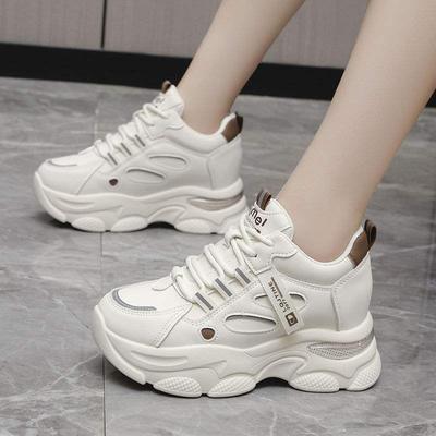 Height-increasing Dad's New Shoes for Women's 2025 Casual Autumn and Winter Small Man Thick-soled Velvet Sports Shoes
