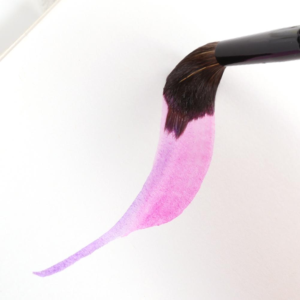 Extended Needle Point Two Layer Watercolor Brushes,Mop Brush Line Brush 2-in-1,Squirrel Hair Mix Nylon Hair Paint Brush for Art Detailing Painting