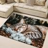 Cartoon style, cat sleeping pattern sponge carpet, dirt-resistant indoor and outdoor entrance doormat, non-slip, soft and comfortable