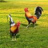 3D Rooster Acrylic Mirror Yard Art: Creative Outdoor Garden Decoration